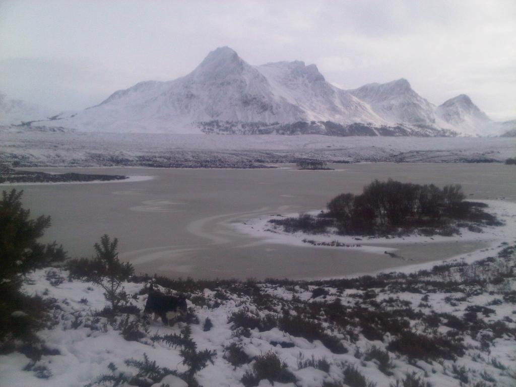 Ben Loyal Hotel Tongue Bagian luar foto